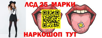 СК Бийск
