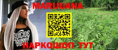 СК Бийск