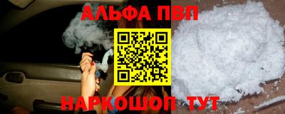 СК Бийск