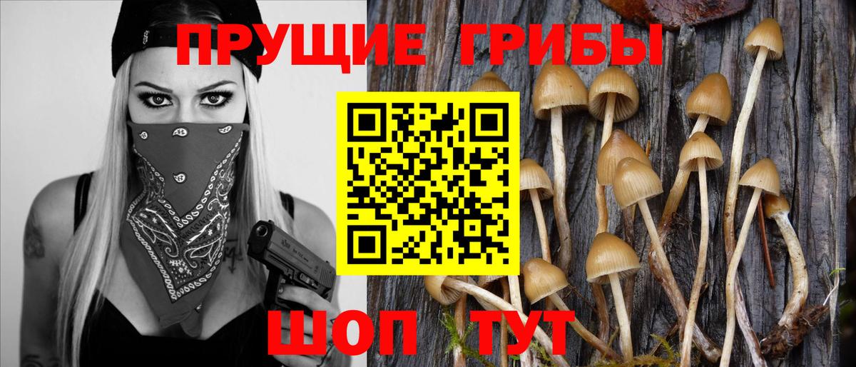 Галлюциногенные грибы мицелий  Вход с VPN  закладки  Заводоуковск 