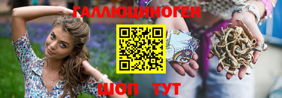 Псилоцибиновые грибы GOLDEN TEACHER Заводоуковск